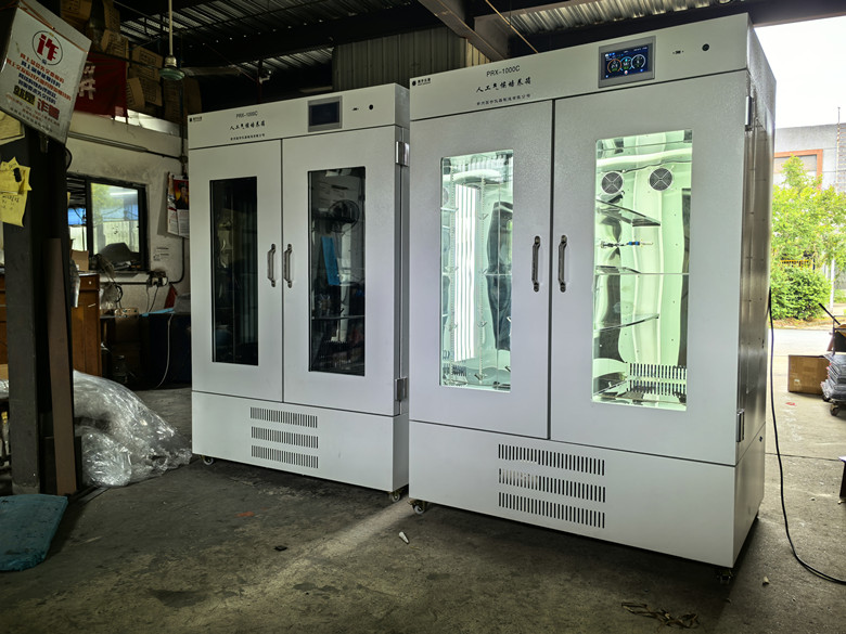 LHPϵ���˹�������