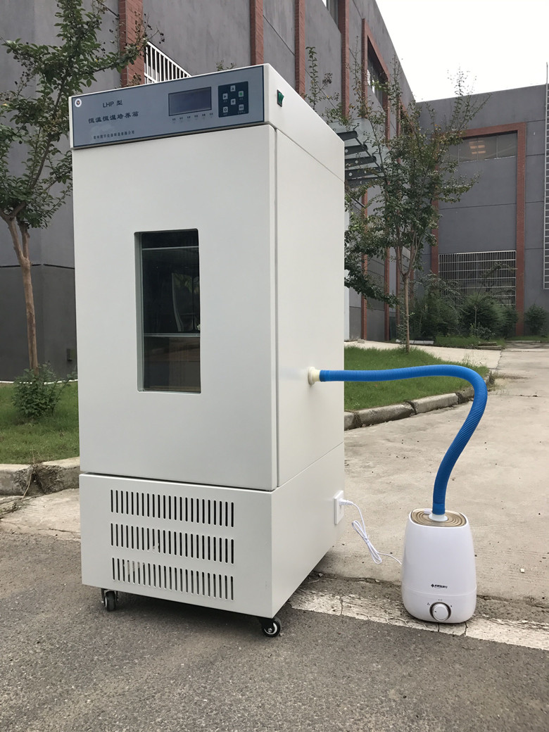 ���º�ʪ������